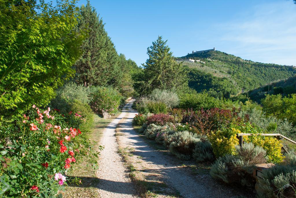 Séjour à la campagne Antica Fonte